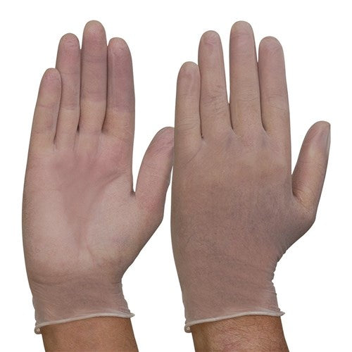 GLOVE DISP P/FREE VINYL CLEAR SIZE L